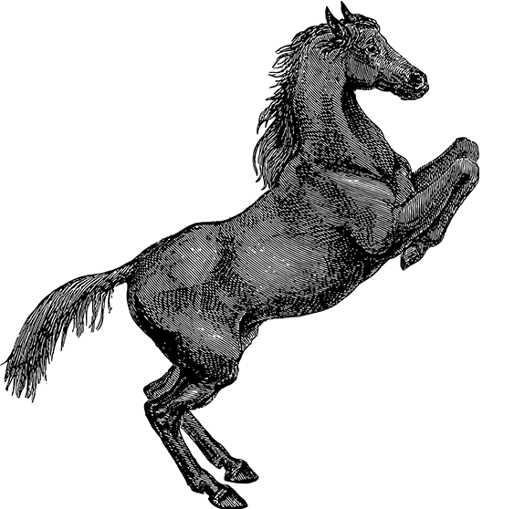 NG28