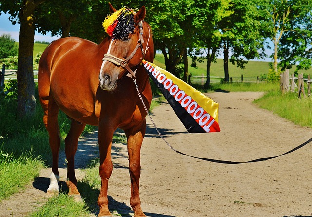带来了更多 带来了更多