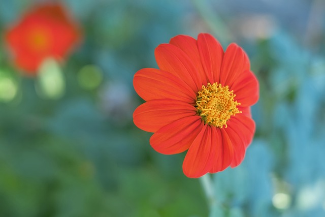 队的未来 队的未来