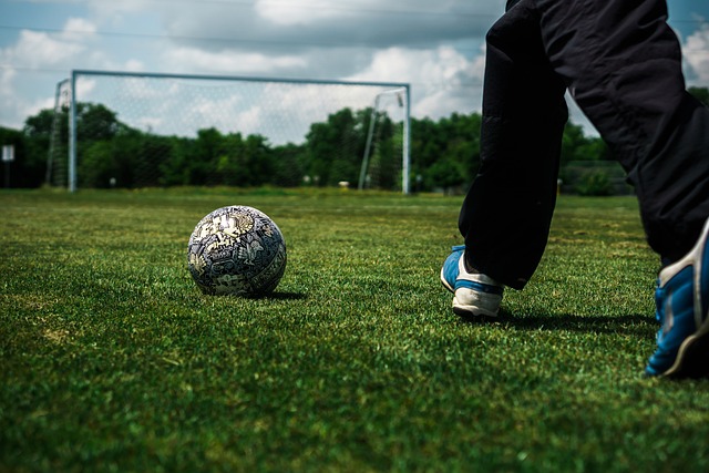 的长久维护 的长久维护