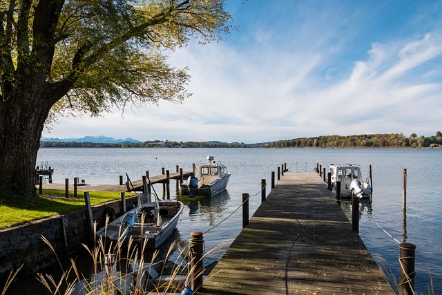 球迷间引发 球迷间引发