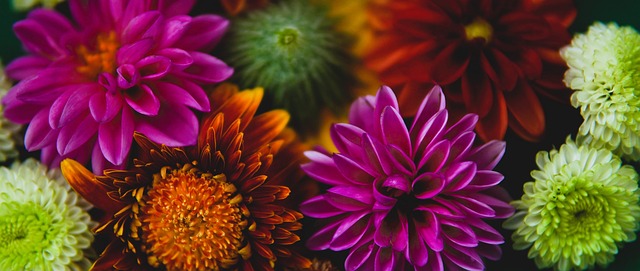 而他的新恋 而他的新恋