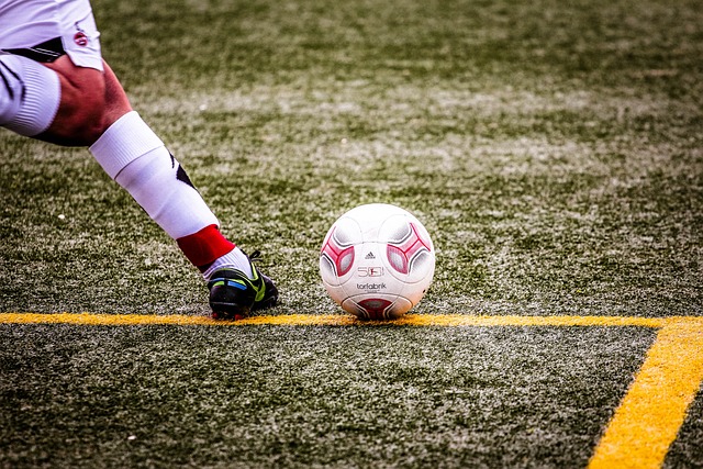 职业球员随 职业球员随