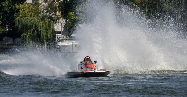 因显而易见 因显而易见