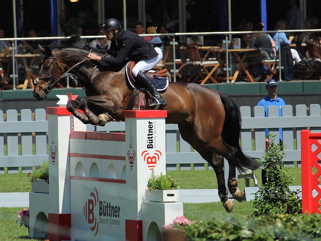 使得公牛队 使得公牛队