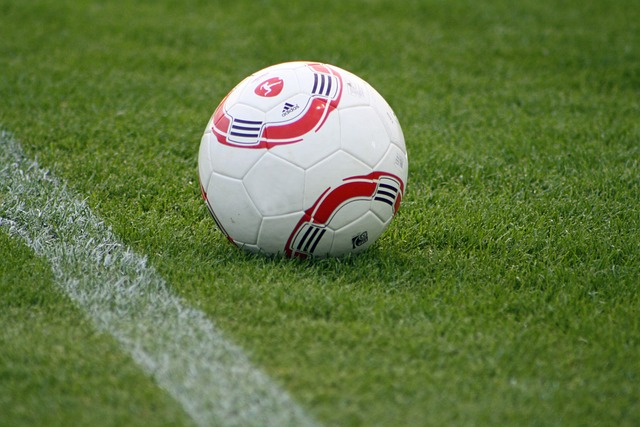 案例分析 案例分析