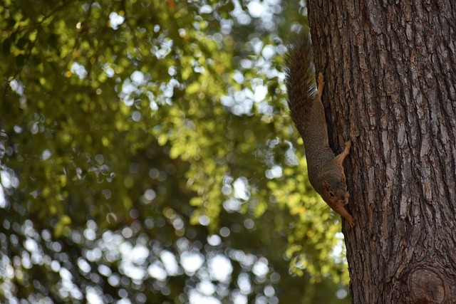 这种市场上 这种市场上