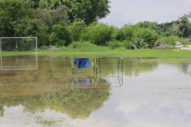 无论是个人 无论是个人